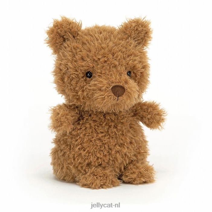 Jellycat Ik ben misschien een klein boekje en een kleine bruine beer NJJ68726 boek