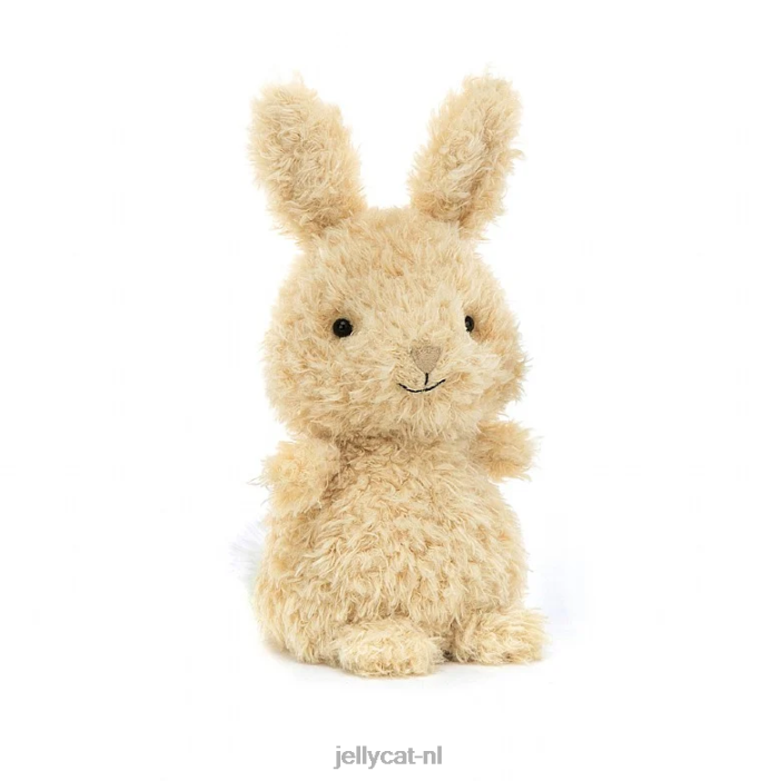 Jellycat Wie kan ik vinden een boek en een klein konijntje honing NJJ68737 boek