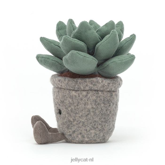 Jellycat domme succulente azulita veelkleurig NJJ68595 speelgoed-