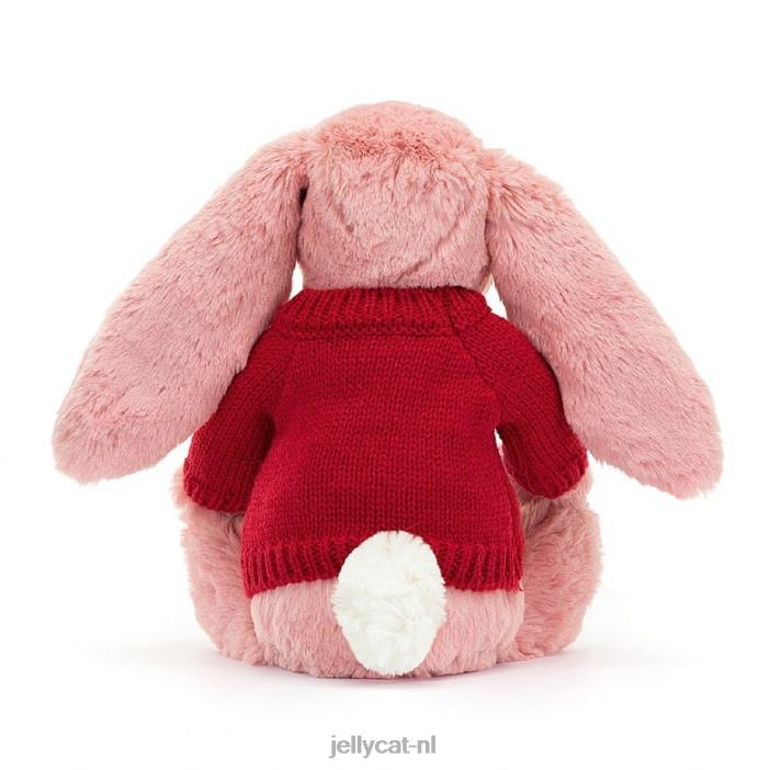 Jellycat verlegen bloemblaadjekonijntje met gepersonaliseerde rode trui sorbetroze NJJ68299 speelgoed-