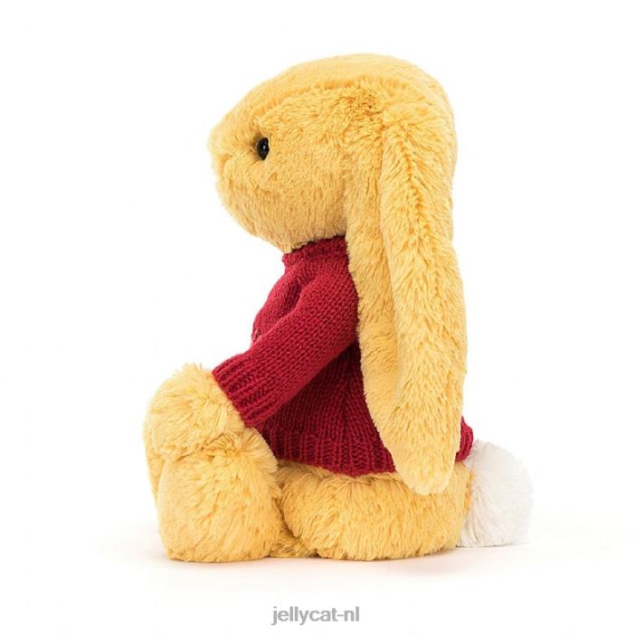 Jellycat verlegen konijntje met gepersonaliseerde rode trui zonneschijn NJJ68332 speelgoed-